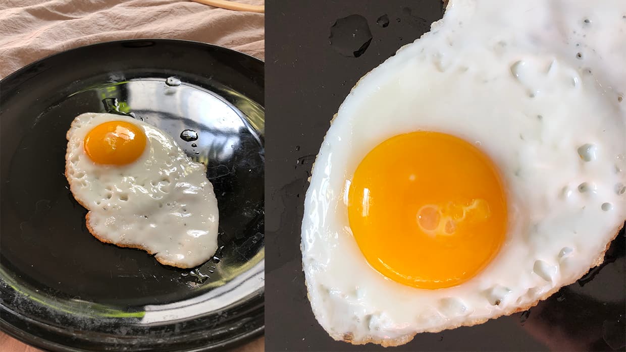 Molly's Molly egg